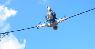 Elastic in the trees 